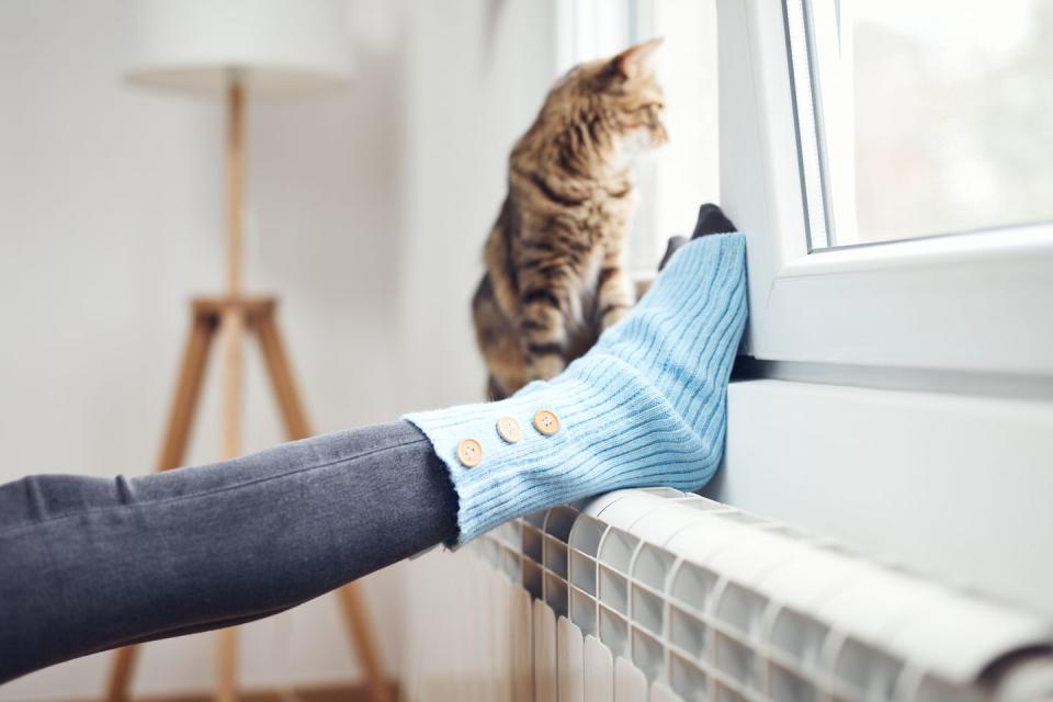 woman's feet with woolen socks, domestic cat, enjoying inside home on the radiator