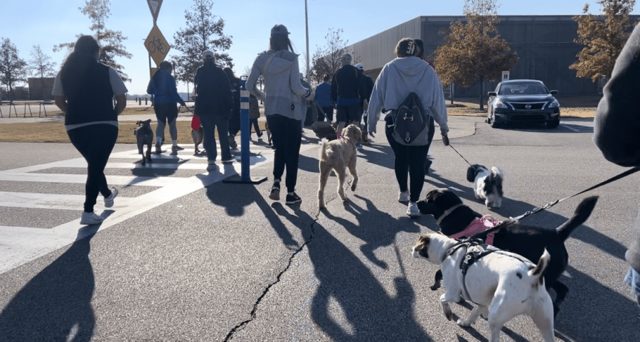 Operation Angel Tree walk-a-thon