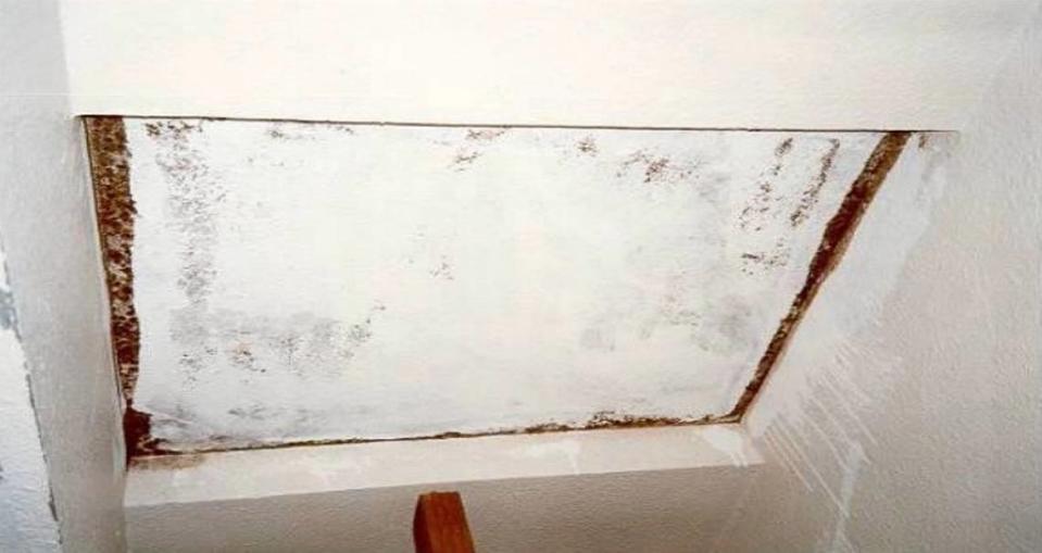 An undated photo shows drywall covered with mold that needs to be removed. Painting over mold is not acceptable for mitigation, according to the Washington State Department of Health.