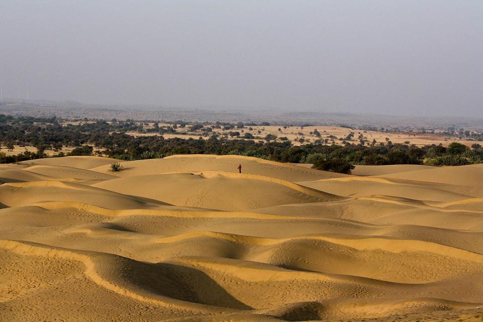 Desierto de Thar, en el noreste de la India. <a href="https://commons.wikimedia.org/wiki/File:Thar_desert_Rajasthan_India.jpg" rel="nofollow noopener" target="_blank" data-ylk="slk:Sushmita balasubramani / Wikimedia Commons;elm:context_link;itc:0;sec:content-canvas" class="link ">Sushmita balasubramani / Wikimedia Commons</a>, <a href="http://creativecommons.org/licenses/by/4.0/" rel="nofollow noopener" target="_blank" data-ylk="slk:CC BY;elm:context_link;itc:0;sec:content-canvas" class="link ">CC BY</a>