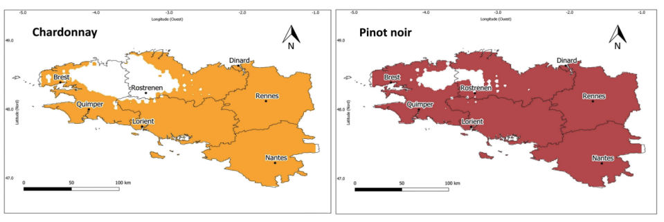 Chardonnay (en jaune) et pinot noir (en rouge) seront à maturation avant le 15 septembre durant la période 2031-2060. Pour la viticulture, ça veut dire beaucoup. 