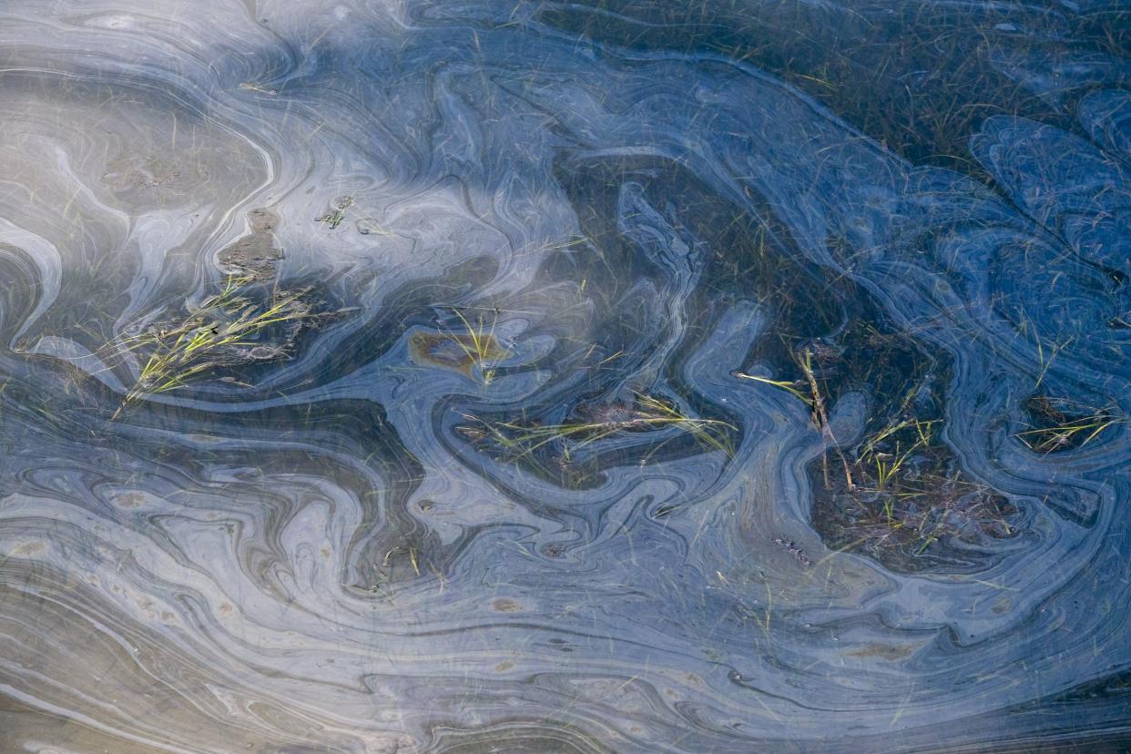 Oil floats on the water surface in the Wetlands Talbert Marsh after an oil spill in Huntington Beach, Calif. on Monday, Oct. 4, 2021.