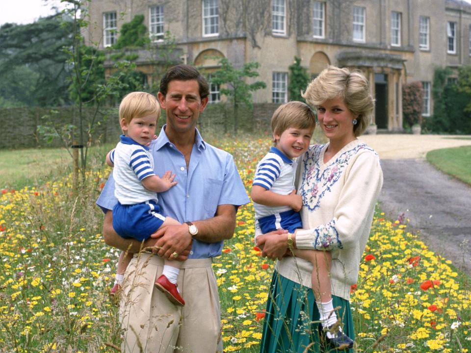 prince charles princess diana harry william