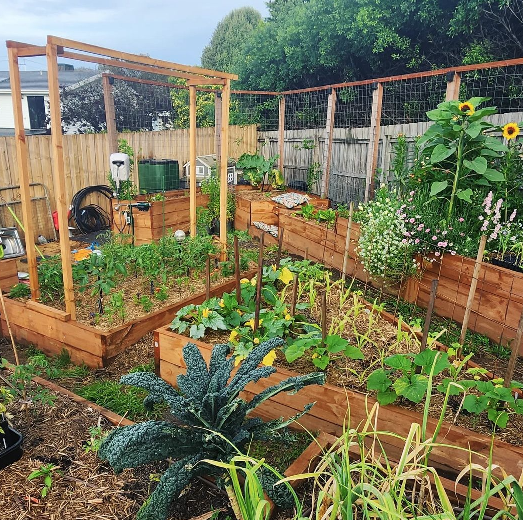 a garden with a fence