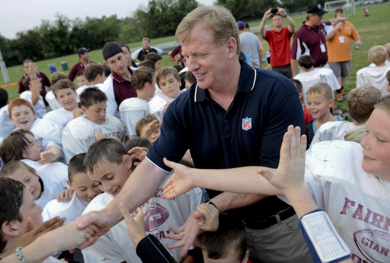 Roger Goodell Kids