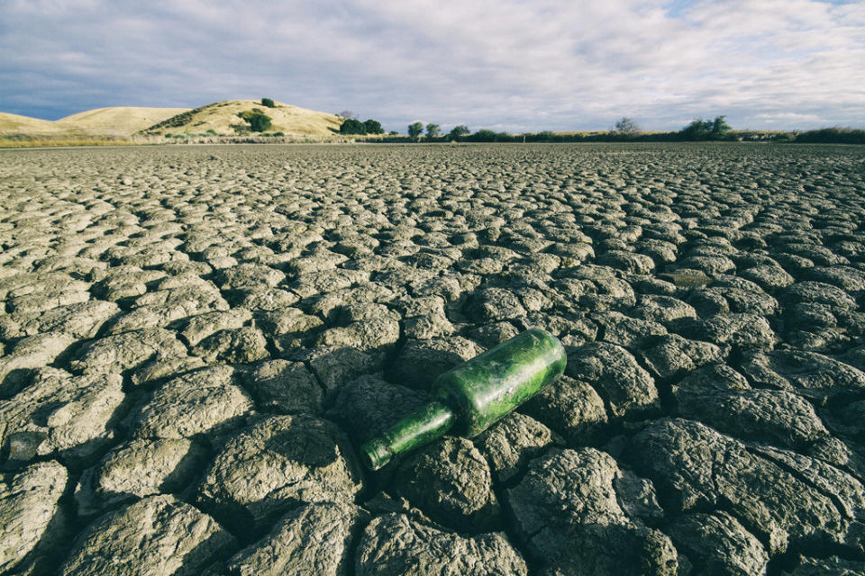 Coyote Hills RP, Fremont, CA July 23, 2014