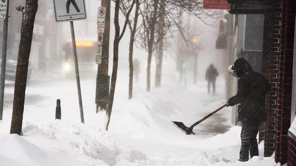 Despite a blizzard the day before that brought 22 centimetres of snow, cancelled flights and road closures to the Atlantic provinces, Halifax residents seemed largely unimpressed by Mother Nature's fury Saturday.