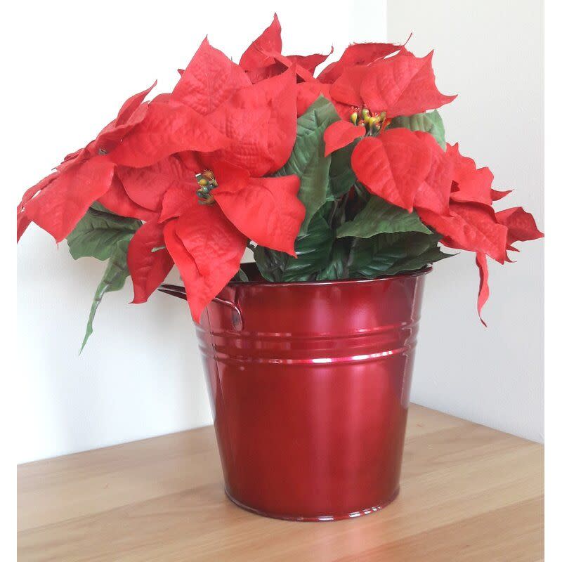 <p><a href="https://go.redirectingat.com?id=74968X1596630&url=https%3A%2F%2Fwww.wayfair.com%2Foutdoor%2Fpdp%2Fred-barrel-studio-xmas-planter-w006518997.html&sref=https%3A%2F%2F" rel="nofollow noopener" target="_blank" data-ylk="slk:Shop Now;elm:context_link;itc:0;sec:content-canvas" class="link ">Shop Now</a></p><p>Red Metal Planter</p><p>wayfair.com</p><p>$29.99</p>