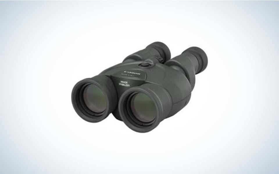 Canon 12x36 Image Stabilization III Binoculars are the best binoculars for astronomy that are handheld.