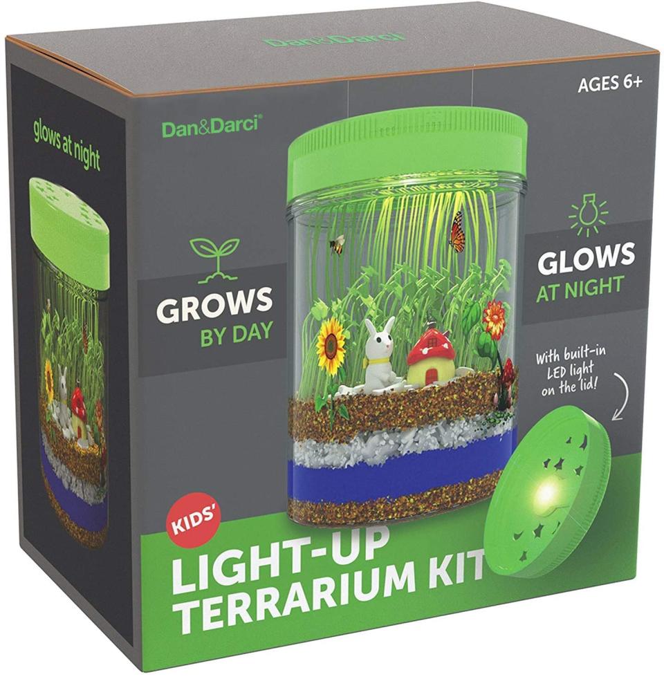 Light-Up Terrarium Kit