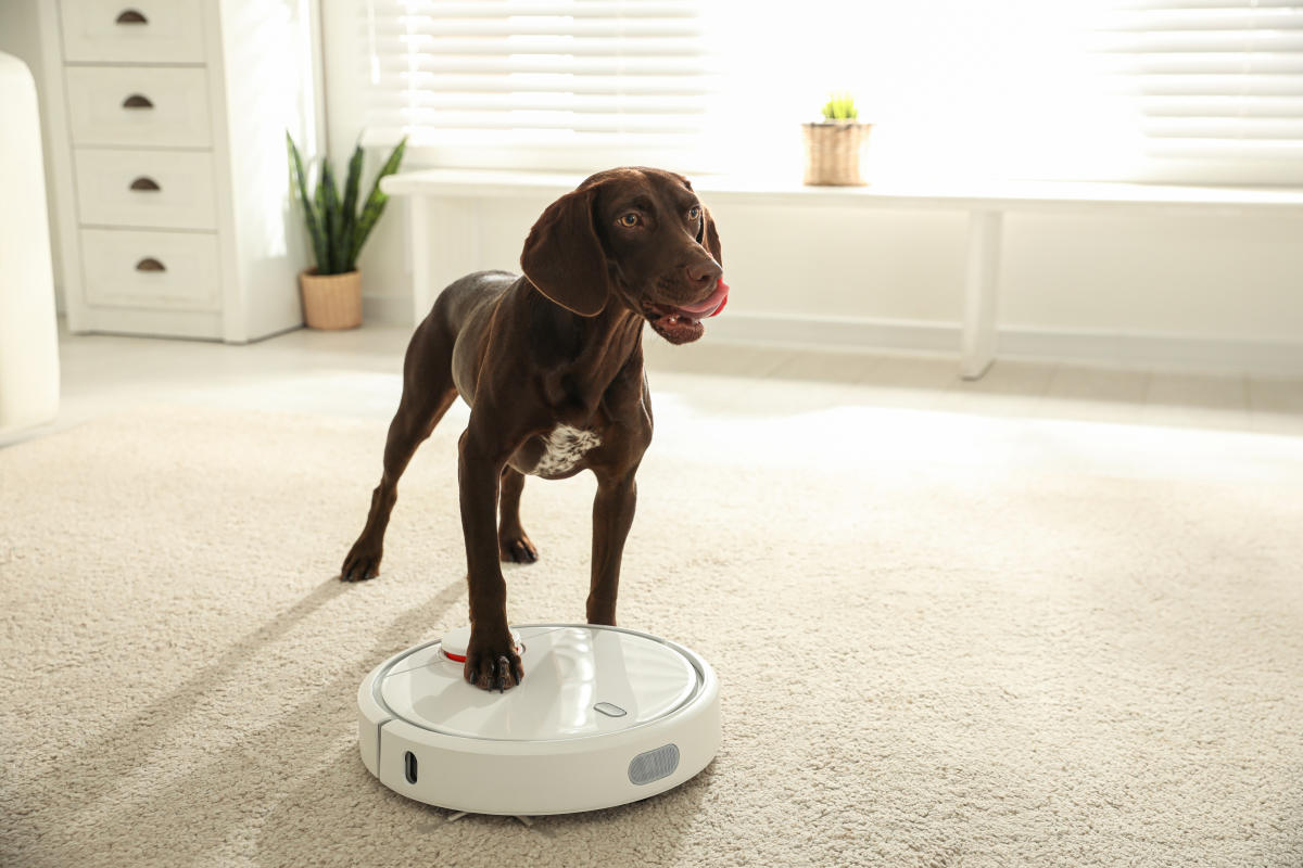 Roomba Pet, la aspiradora-robot especializada en mascotas