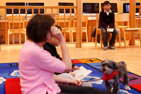 Marlon Maita, 8, waits to read with Leslie Hight, a therapy dog handler for New York Therapy Animals, and Izzy, a Reading Education Assistance Dog therapy dog, at Public School 57 in the Spanish Harlem section of New York, U.S., May 16, 2016. REUTERS/Shannon Stapleton