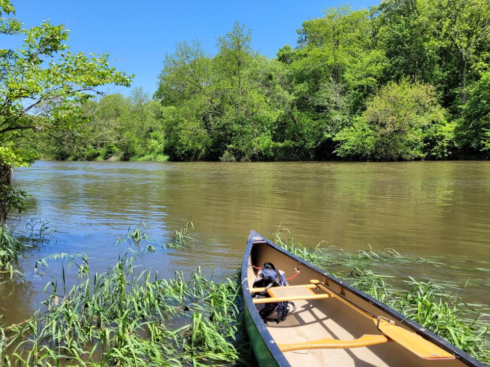 On the Middle Raccoon River between Panora and Redfield.