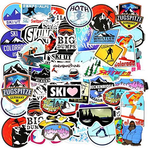 40) 100 Pieces Ski Stickers