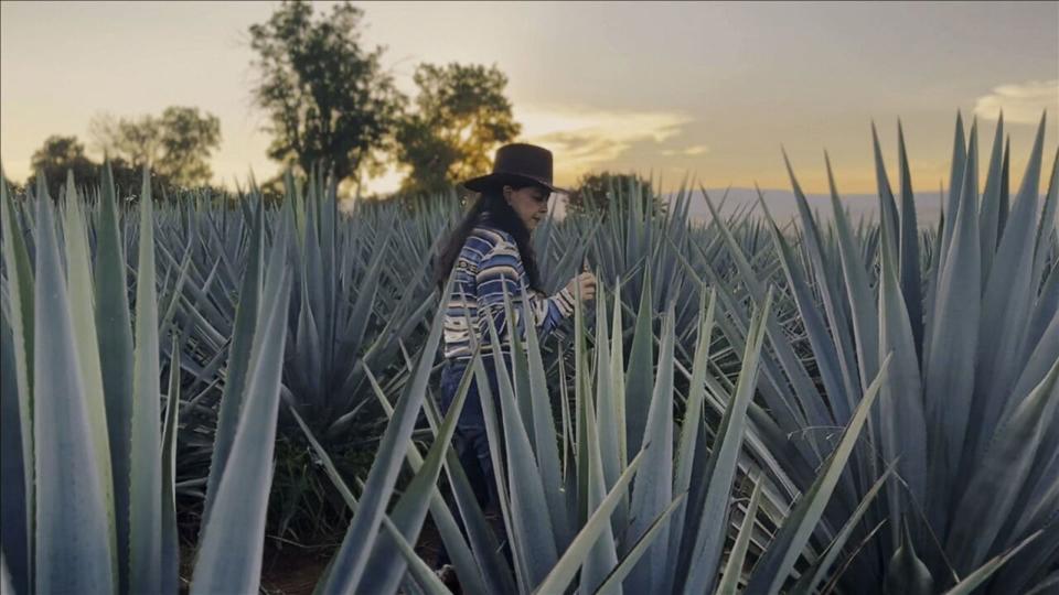 PHOTO: Melly Barajas walks through a field of blue agave plants in the Los Altos region of Jalisco, Mexico. (ABC News)