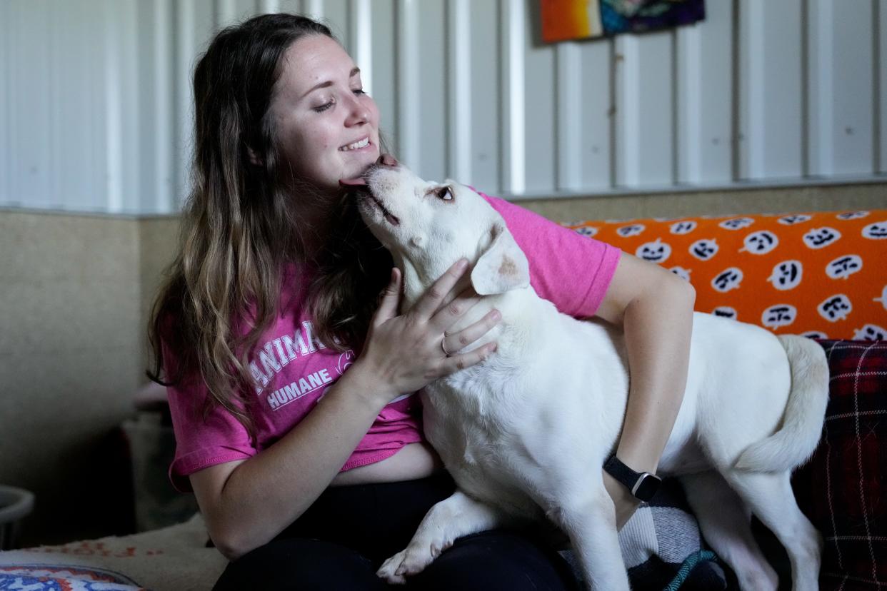 Intake coordinator Megan Poffenbarger holds rescued 6-year-old Shelby, in a visitor play room at the Animal Friends Humane Society in Hamilton. Shelby was one of dozens of dogs found in a Butler County home earlier this year.