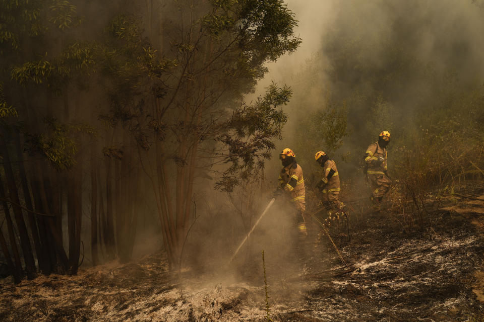 Bomberos intentan controlar los incendios en Santa Juana, Chile, el lunes 6 de febrero del 2023. Los siniestros forestales están afectando el sur y centro de Chile desde hace casi una semana y han causado al menos 26 muertos, según las autoridades. (AP Foto/Matías Delacroix)