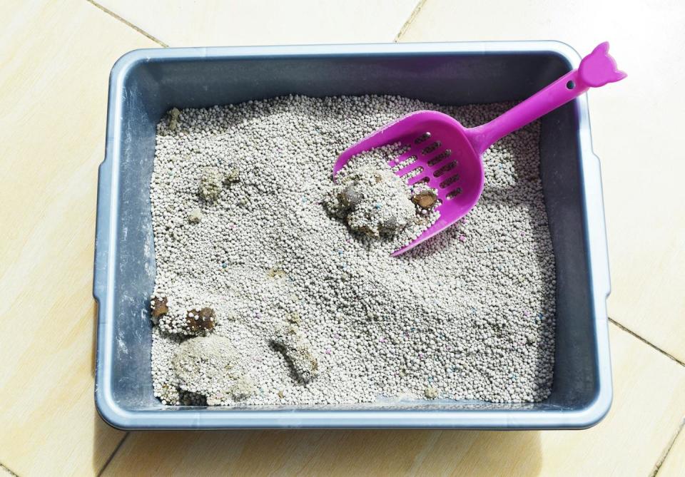 Pink scooper in litter box with cat feces