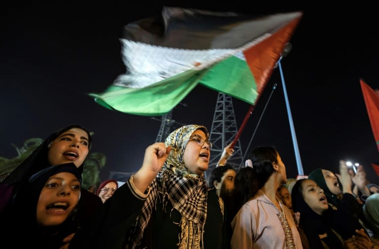 Protesters demonstrate in solidarity with Palestinians (FADEL SENNA)