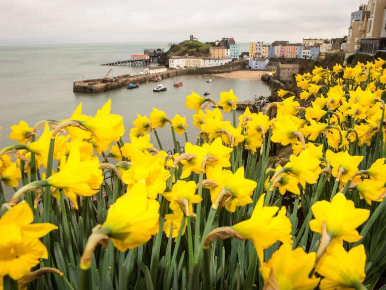 UK weather: 'Exceptionally mild' conditions to sweep country before cold Atlantic blast