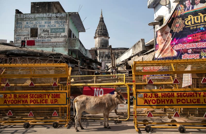 A cow stands in front of a security barricade in a street in Ayodhya