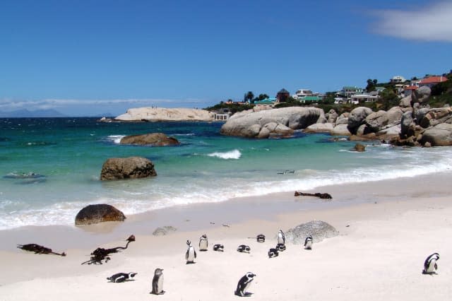 Cape Town revealed as cheapest long haul holiday destination