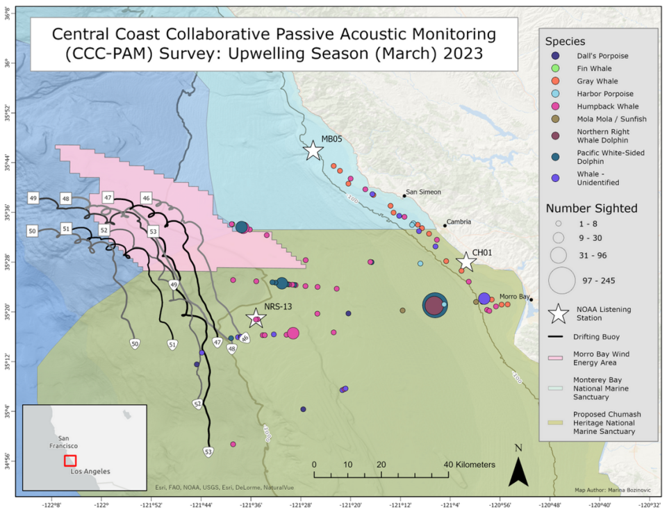 This map shows where NOAA’s sound recorders are placed in the proposed Chumash Heritage National Marine Sanctuary, as well as various animals spotted in the area. Courtesy of Marina Bozinovic/San Francisco State University
