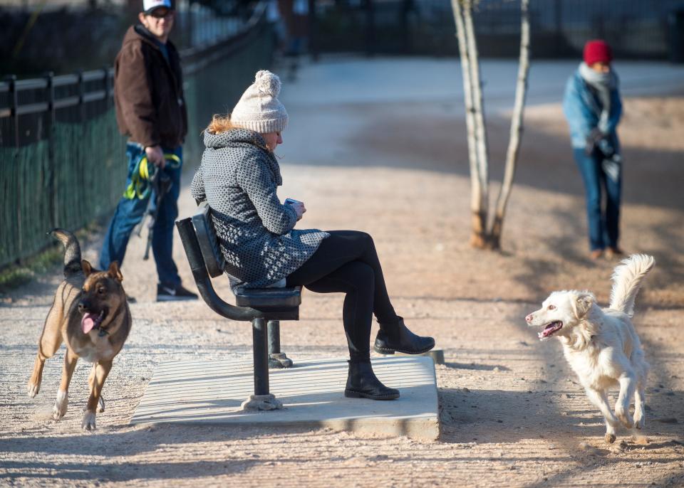 Bundled-up dog owners watch as dogs play at the PetSafe Downtown Dog Park in downtown Knoxville on Wednesday, January 3, 2018.