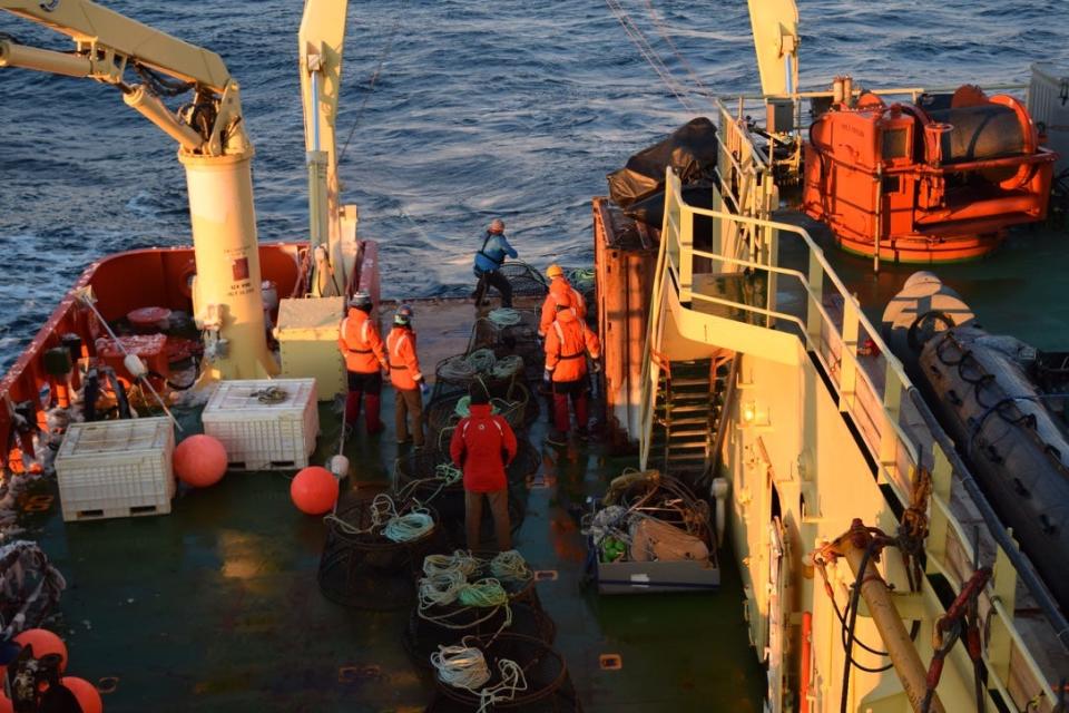 On the Research Vessel Laurence M. Gould near Low Island, Antarctica in 2018, scientists in orange float coats wait expectantly on the deck as the marine tech pulls up a trap they hope will be full of fish for analyses.