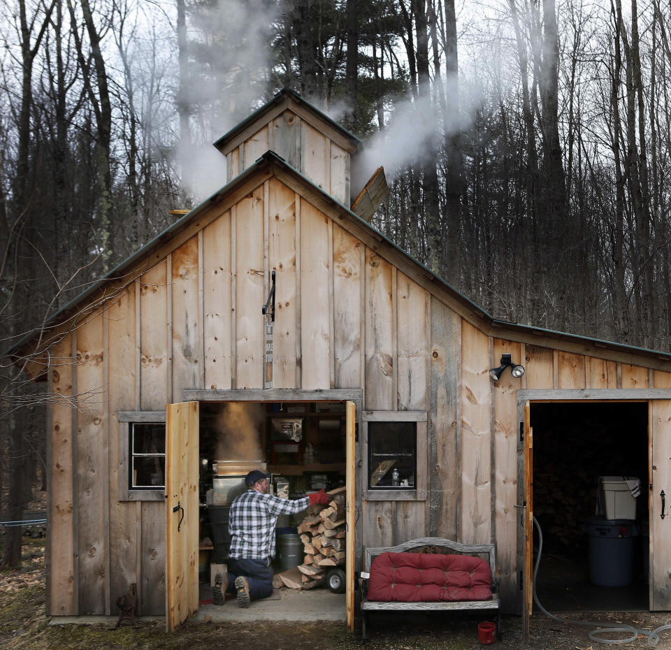 In this March 10, 2016, file photo, Jason Landry loads wood into the firebox as he boils down sap at his sugar house to make maple syrup in Loudon, N.H. The coronavirus pandemic forced some states to cancel their annual maple season celebrations in 2020, but some New England producers with safety precautions in place are welcoming back the public in 2021. (AP Photo/Jim Cole, File)