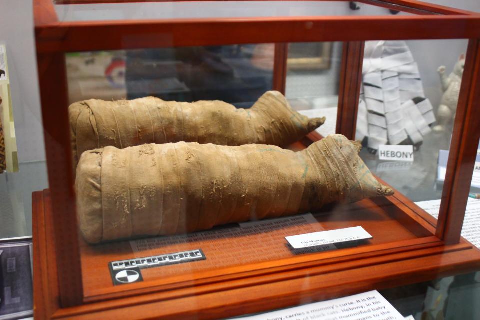 The American Museum of the House Cat in Sylva, North Carolina, features an authentic mummified cat from Ancient Egypt that dates to 332-30 BCE.