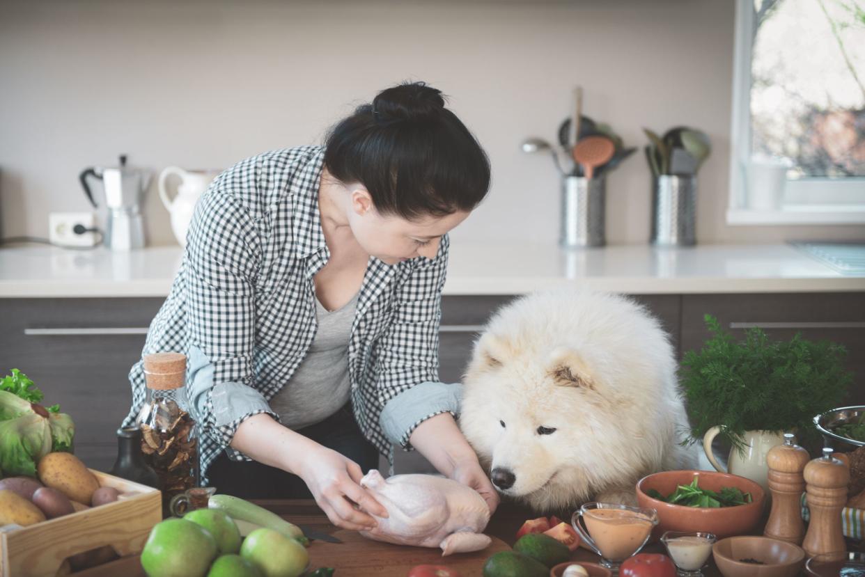 dog in kitchen with woman chicken