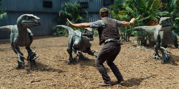 Owen, played by actor Chris Pratt, has a dicey moment with the <i>Velociraptors</i>.