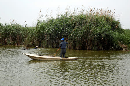 Fishermen work in a canal at Burullus lake in front of Egypt's Nile Delta village of El Shakhluba, in the province of Kafr el-Sheikh, Egypt May 5, 2019. Picture taken May 5, 2019. REUTERS/Hayam Adel