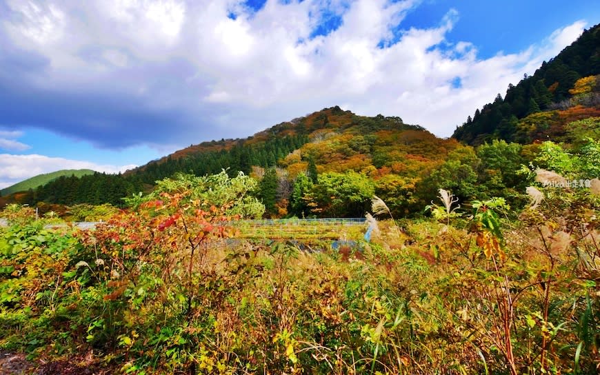 日本秋田｜大館・小坂鐵道鐵軌自行車