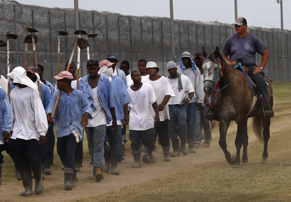 In this Aug. 18, 2011 photo, prison guards ride horses that were broken by inmates as they return from farm work detail at the Louisiana State Penitentiary in Angola, La. In September, several incarcerated workers along with the New Orleans-based advocacy group Voice of the Experienced filed a class-action lawsuit calling for an end to the farm line, and accusing the state of cruel and unusual punishment. But as temperatures soared in May, the men asked the court in an emergency filing to stop work during extreme heat. (AP Photo/Gerald Herbert)