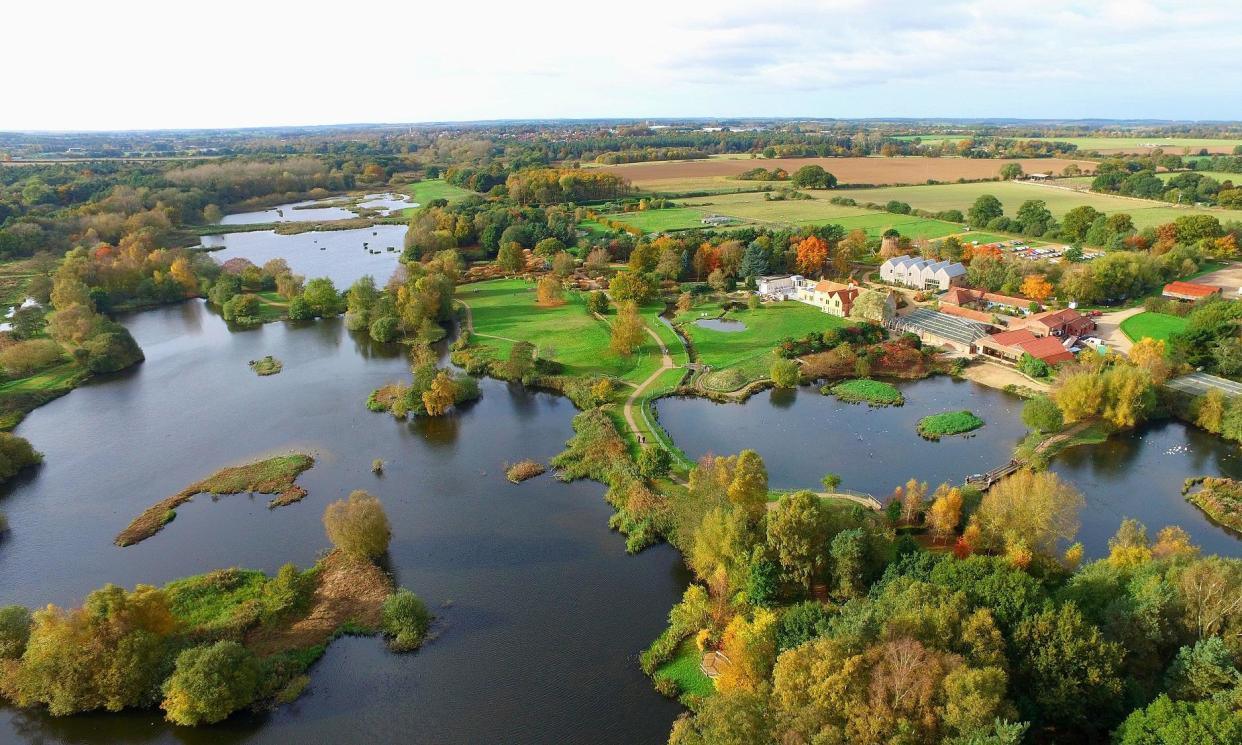 <span>Pensthorpe’s lakes, woods and meadows attract a vast array of wildlife, including more than 150 species of bird</span><span>Photograph: PR</span>