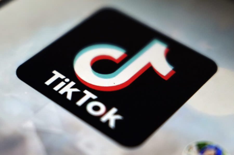 <sub>A view of the TikTok app logo, in Tokyo, Sept. 28, 2020. (AP Photo/Kiichiro Sato, File)</sub>