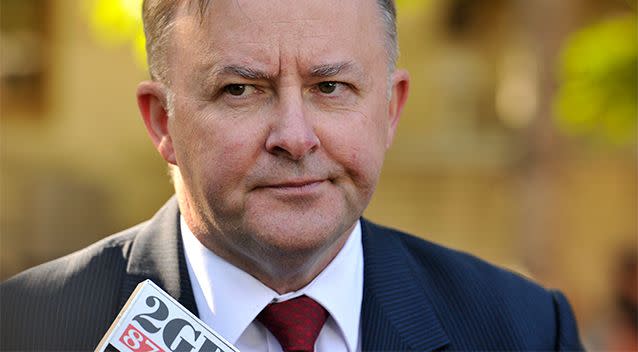 If the bookies are to believed there is some bittersweet news for Labor's Anthony Albanese. Photo: AAP