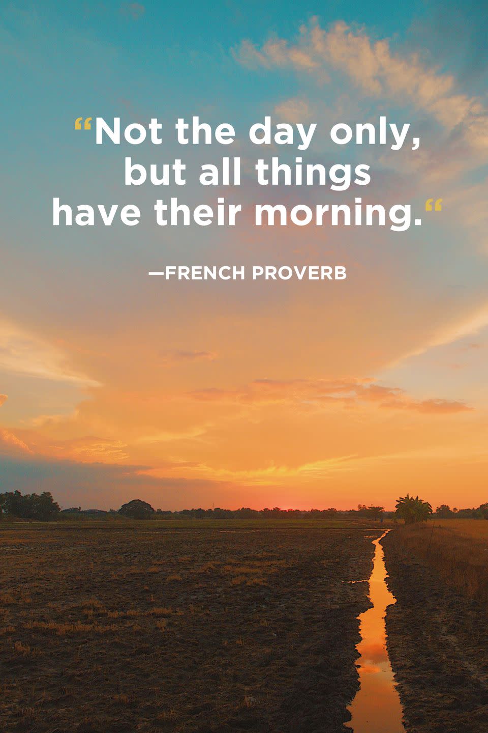 <p>"Not the day only, but all things have their morning."</p>
