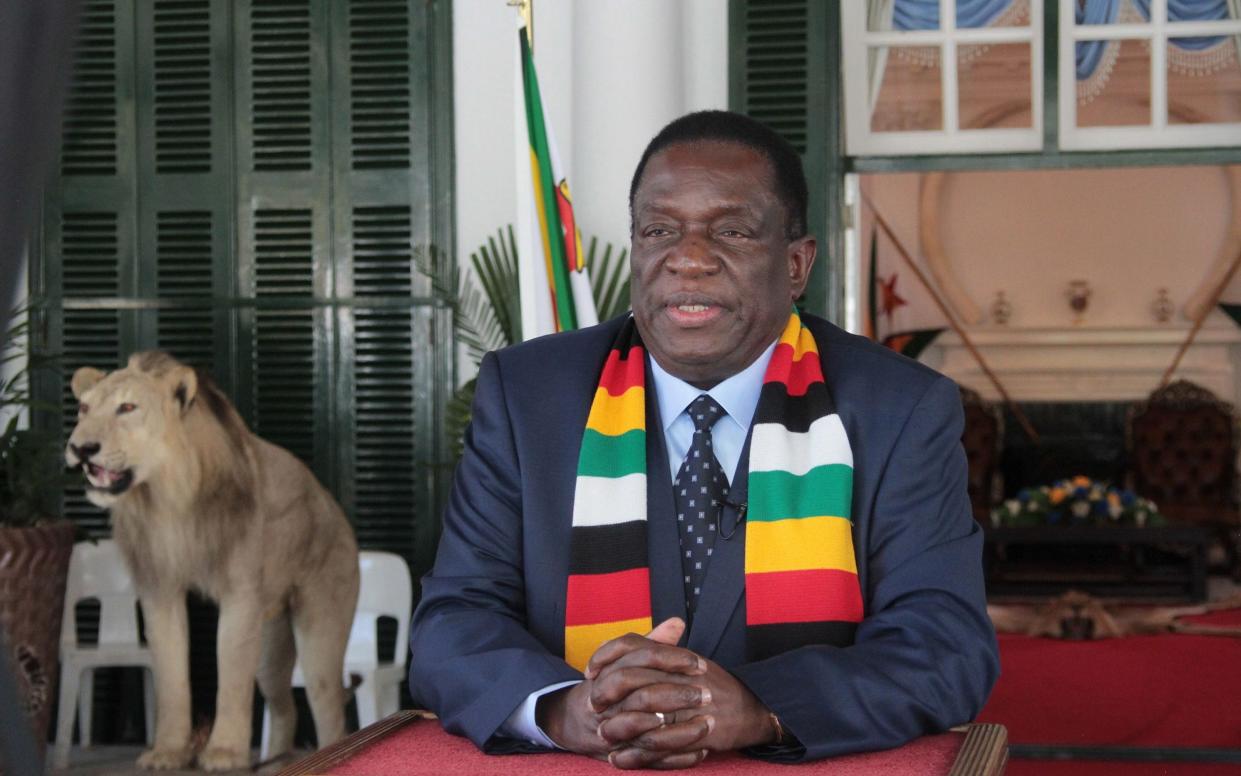 Zimbabwean President Emmerson Mnangagwa - Aaron Ufumeli/Shutterstock