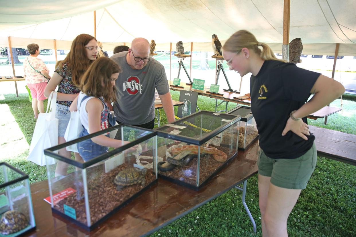 Audrey Buskirk, from Back to the Wild in Castalia, shows off some snakes and turtles during the GroveFest event, at Spiegel Grove on June 22.