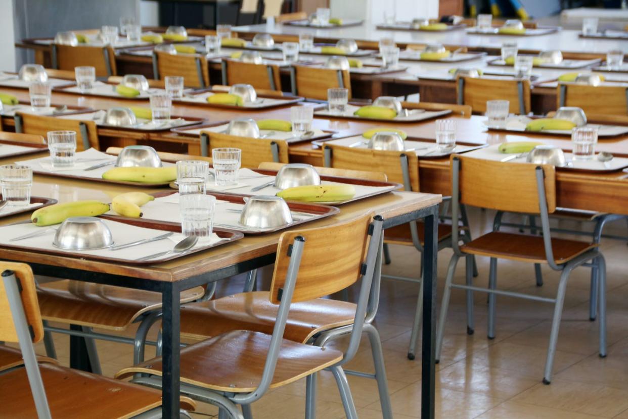 <a href="https://www.shutterstock.com/es/image-photo/interior-view-empty-school-canteen-tables-1431881576" rel="nofollow noopener" target="_blank" data-ylk="slk:Shutterstock / Mauro Rodrigues;elm:context_link;itc:0;sec:content-canvas" class="link ">Shutterstock / Mauro Rodrigues</a>