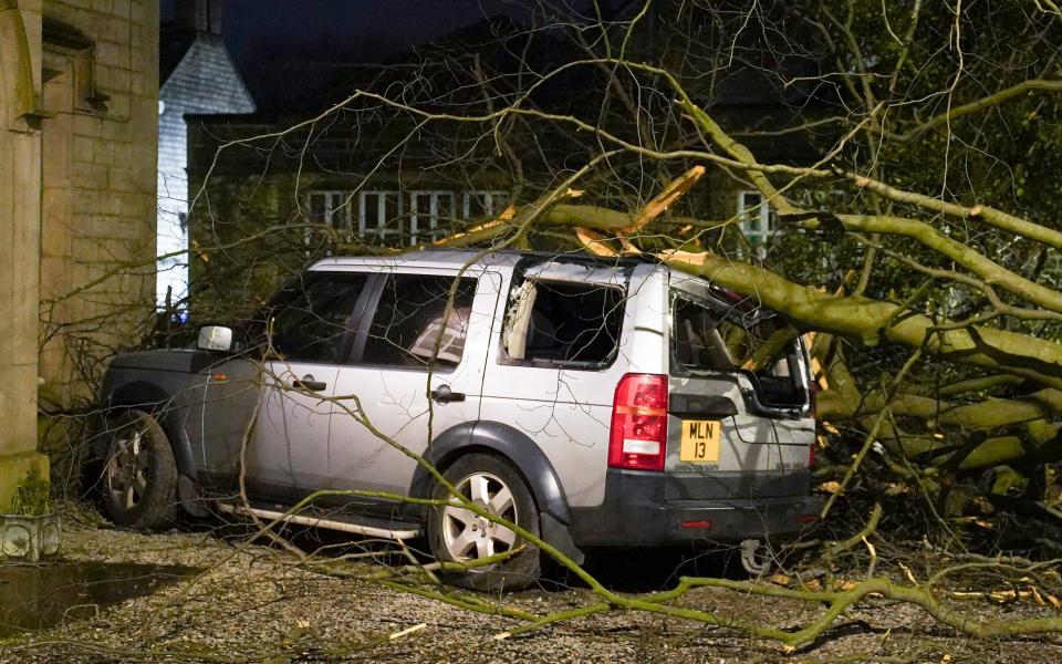 A fallen tree on a car in Stalybridge