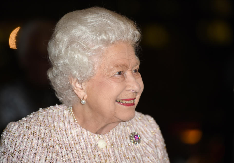 LONDON COLNEY, ENGLAND - NOVEMBER 20: Queen Elizabeth II presents the Chatham House Prize 2019 to Sir David Attenborough (not pictured) at the Royal institute of International Affairs, Chatham House on November 20, 2019 in London Colney, England. (Photo by Eddie Mulholland - WPA Pool/Getty Images)