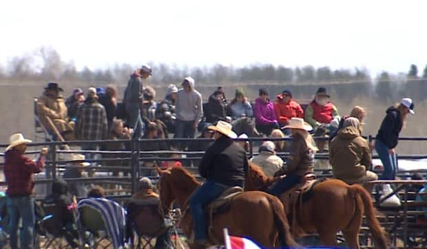 Hundreds attended a rodeo near Bowden, Alta., on May 1 and 2 in defiance of public health restrictions, despite surging COVID-19 cases. (Justin Pennell/CBC - image credit)