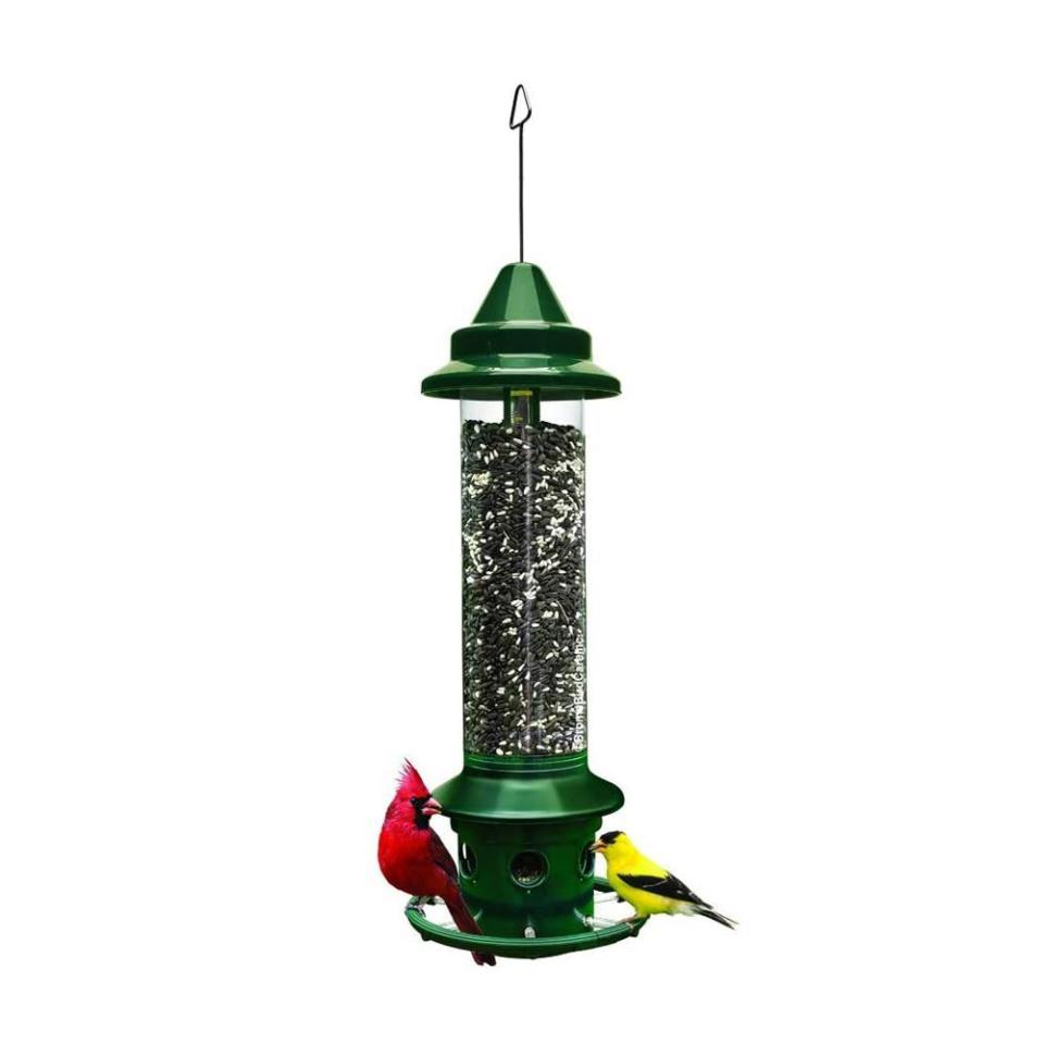 2) Brome Squirrel Buster Plus Hanging Bird Feeder