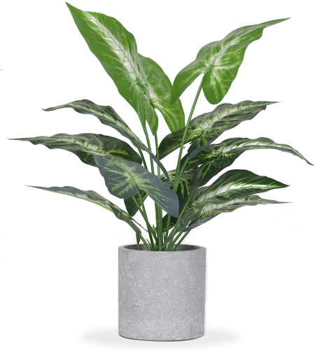 faux plant