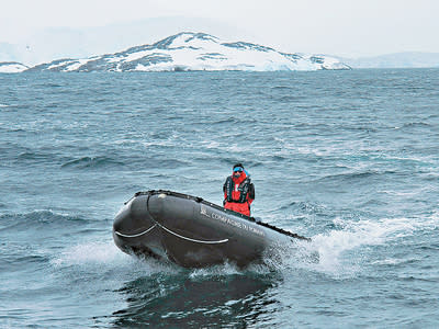 南極初體驗 Port Lockroy拜會巴布亞企鵝