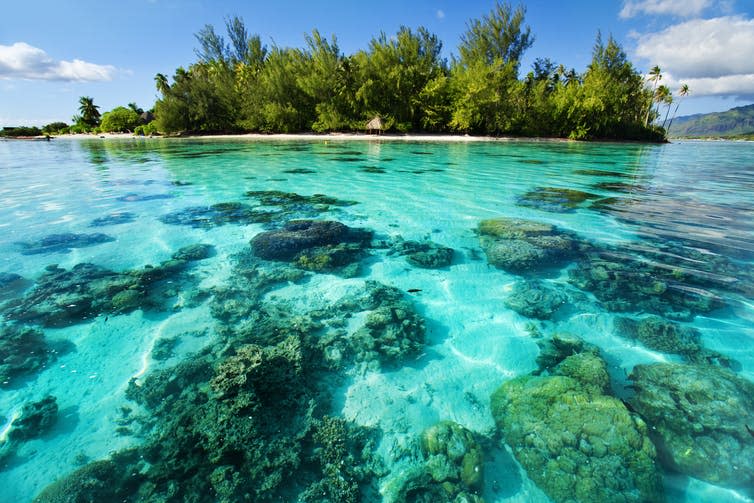 <span class="caption">Shallow pools heat up faster at low tide. Corals here have evolved to tolerate higher water temperatures.</span> <span class="attribution"><a class="link " href="https://www.shutterstock.com/image-photo/underwater-coral-reef-next-green-tropical-36922828?src=hzKW0rlMDBlfWPJvHvGneQ-1-6" rel="nofollow noopener" target="_blank" data-ylk="slk:Martin Valigursky/Shutterstock;elm:context_link;itc:0;sec:content-canvas">Martin Valigursky/Shutterstock</a></span>